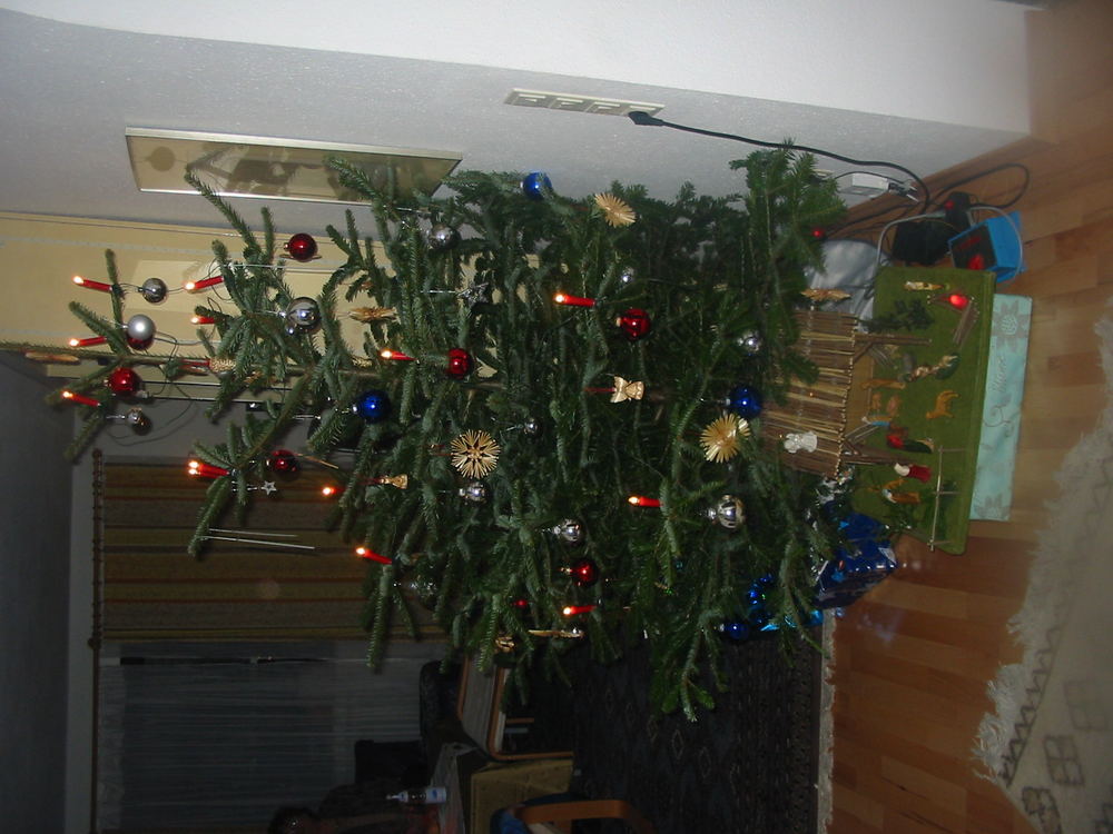 Unser Weihnachtsbaum Dez 2004