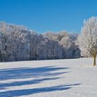 Unser Weihnachtswunsch