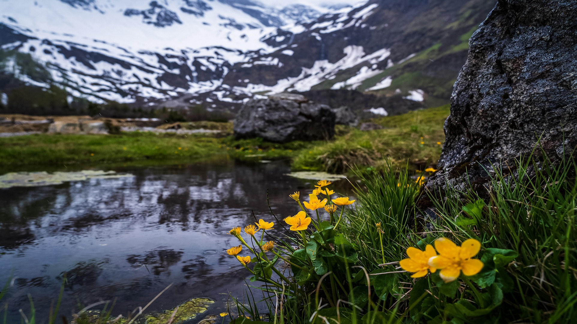 Unser wertvollstes Gut ......Das Wasser