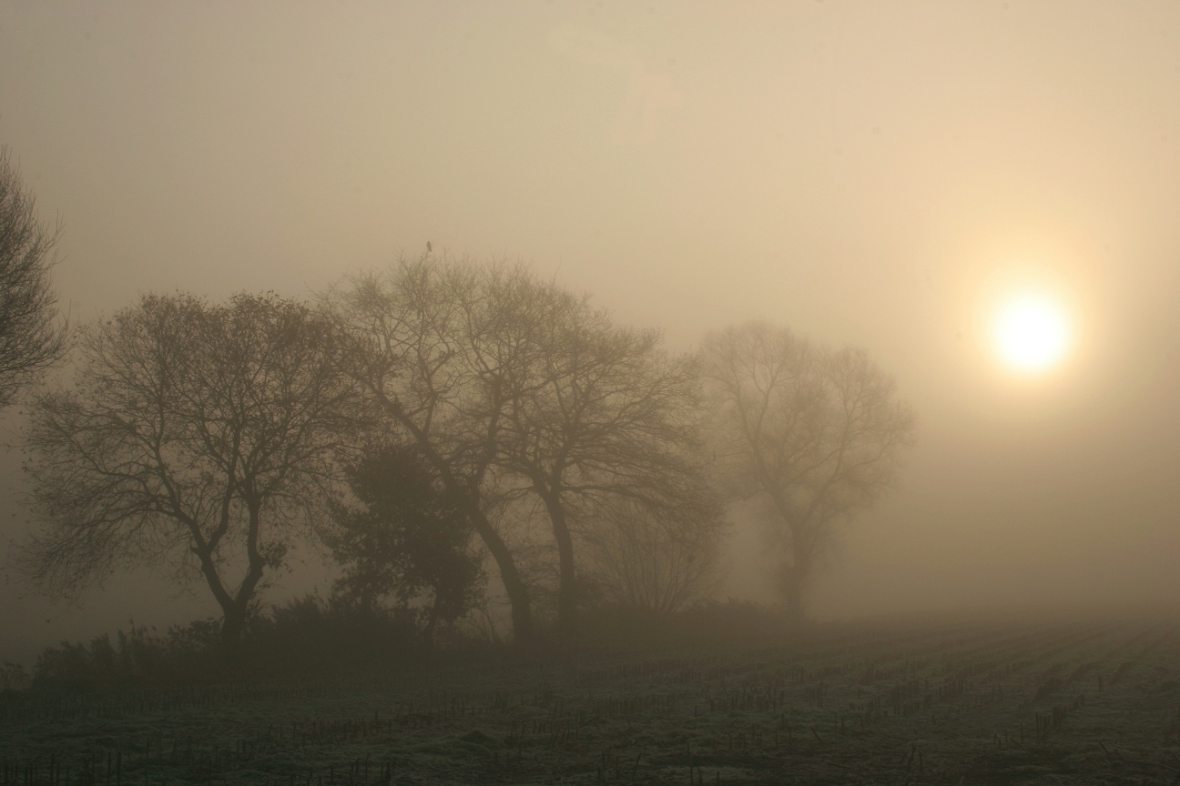 Unser Winter