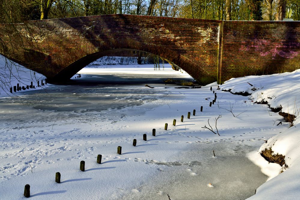 Unser Winter.