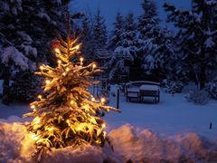 Unser Wintergarten