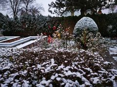 Unser Wintergarten