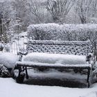 Unser "Wintergarten" - Ich glaub' es geht schon wieder los