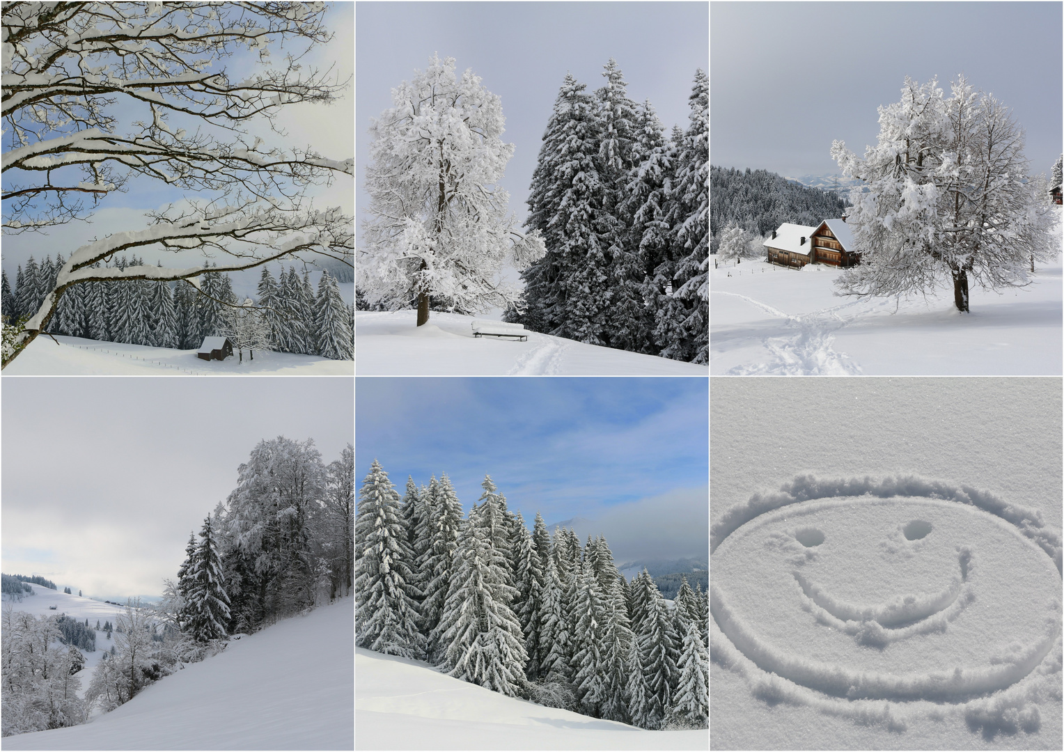 Unsere 1. Schneeschuhwanderung ...