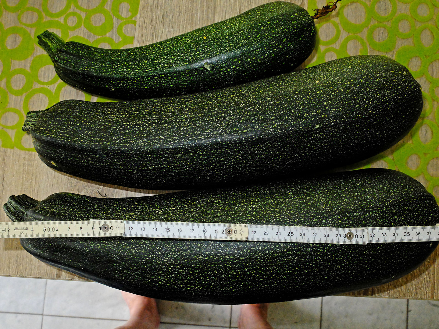 Unsere aktuelle Zucchini-Ernte (nur von einer Pflanze!)