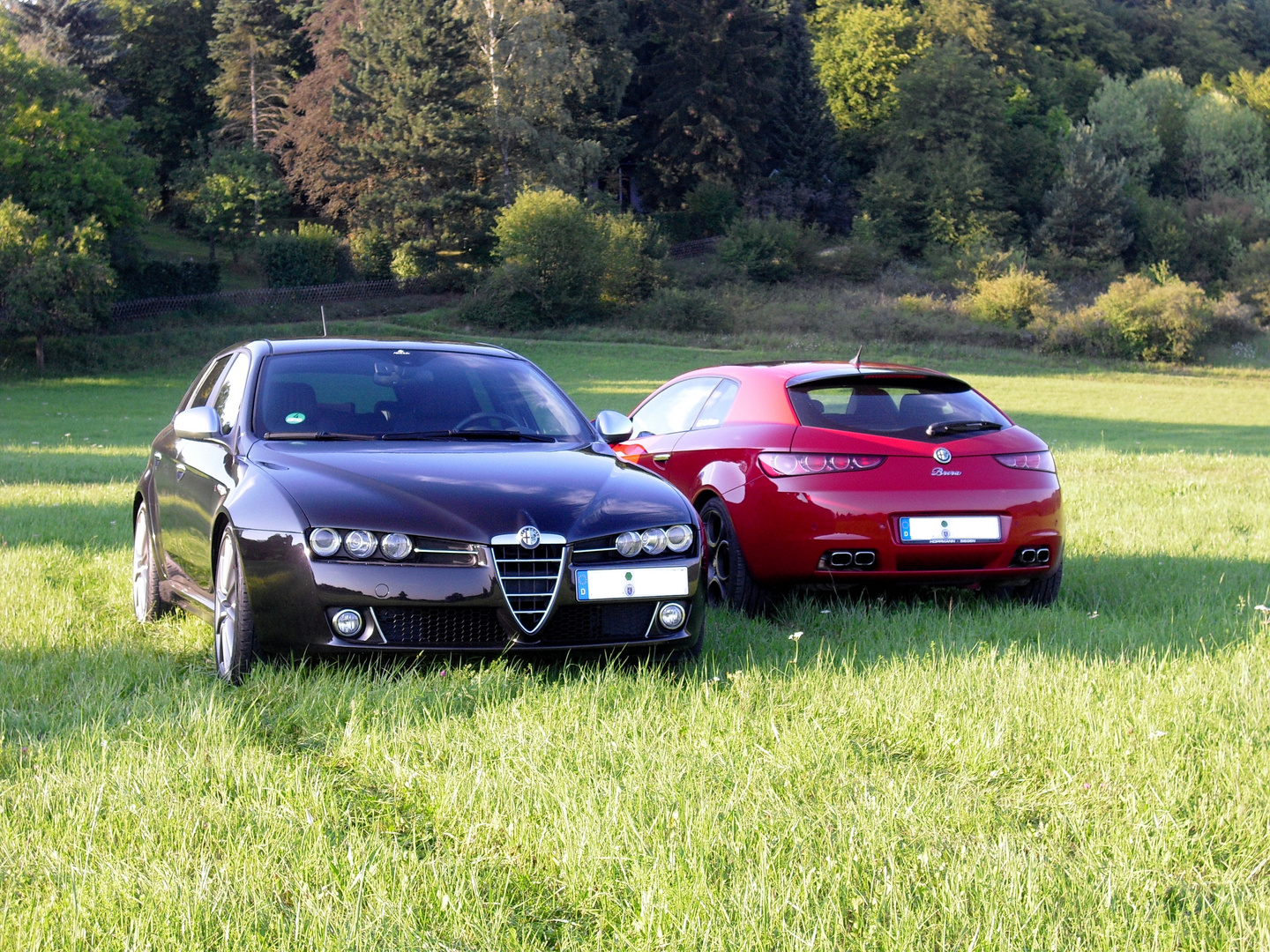 Unsere Alfa's