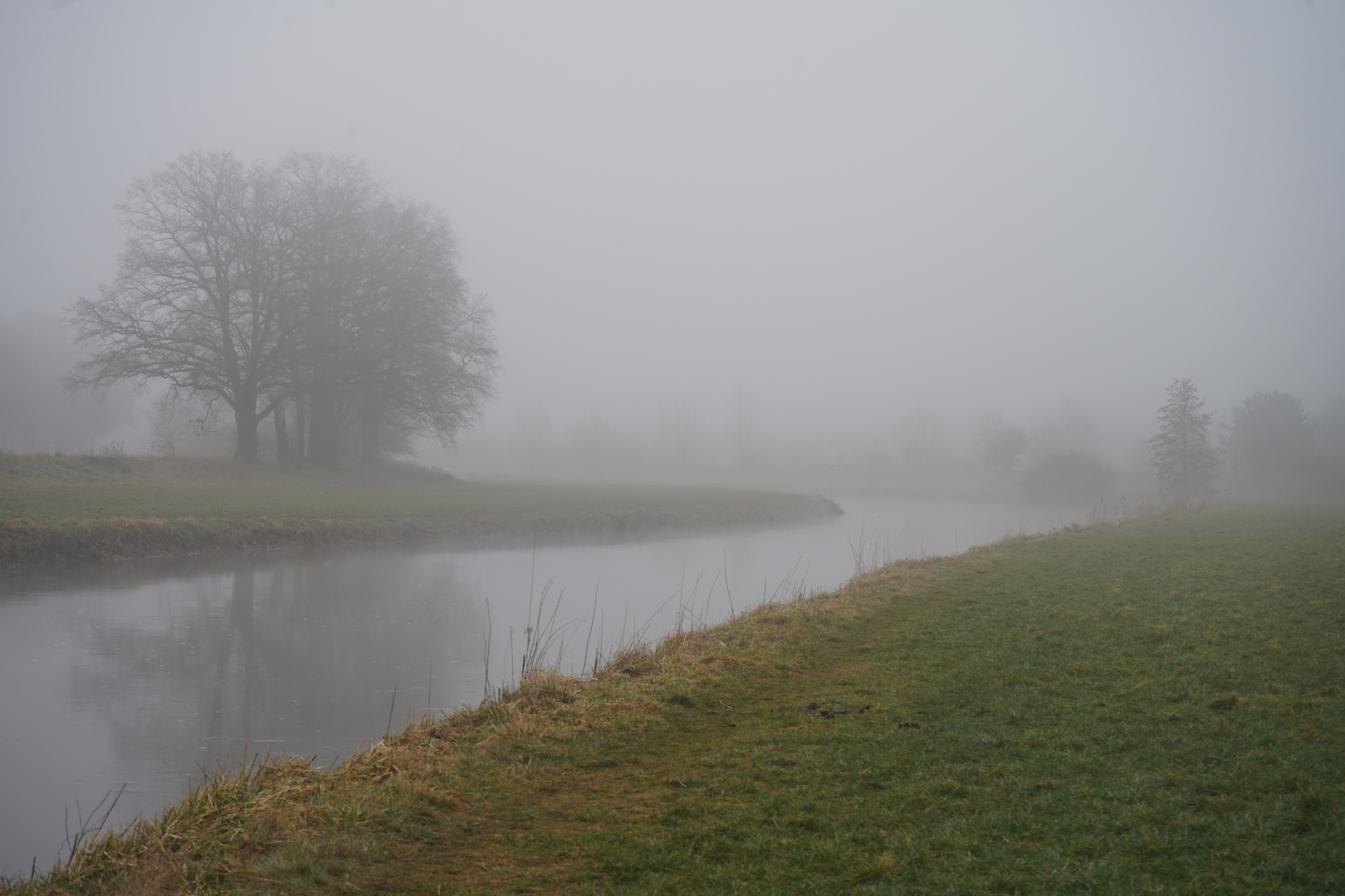 unsere Aller im Nebel