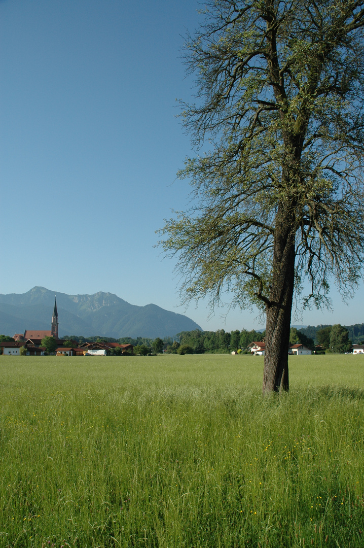 Unsere Aussicht beim Frühstück im Urlaub