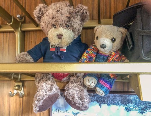 Unsere Bären fahren 1. Klasse...