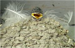 Unsere beste Doris hat Geburtstag!