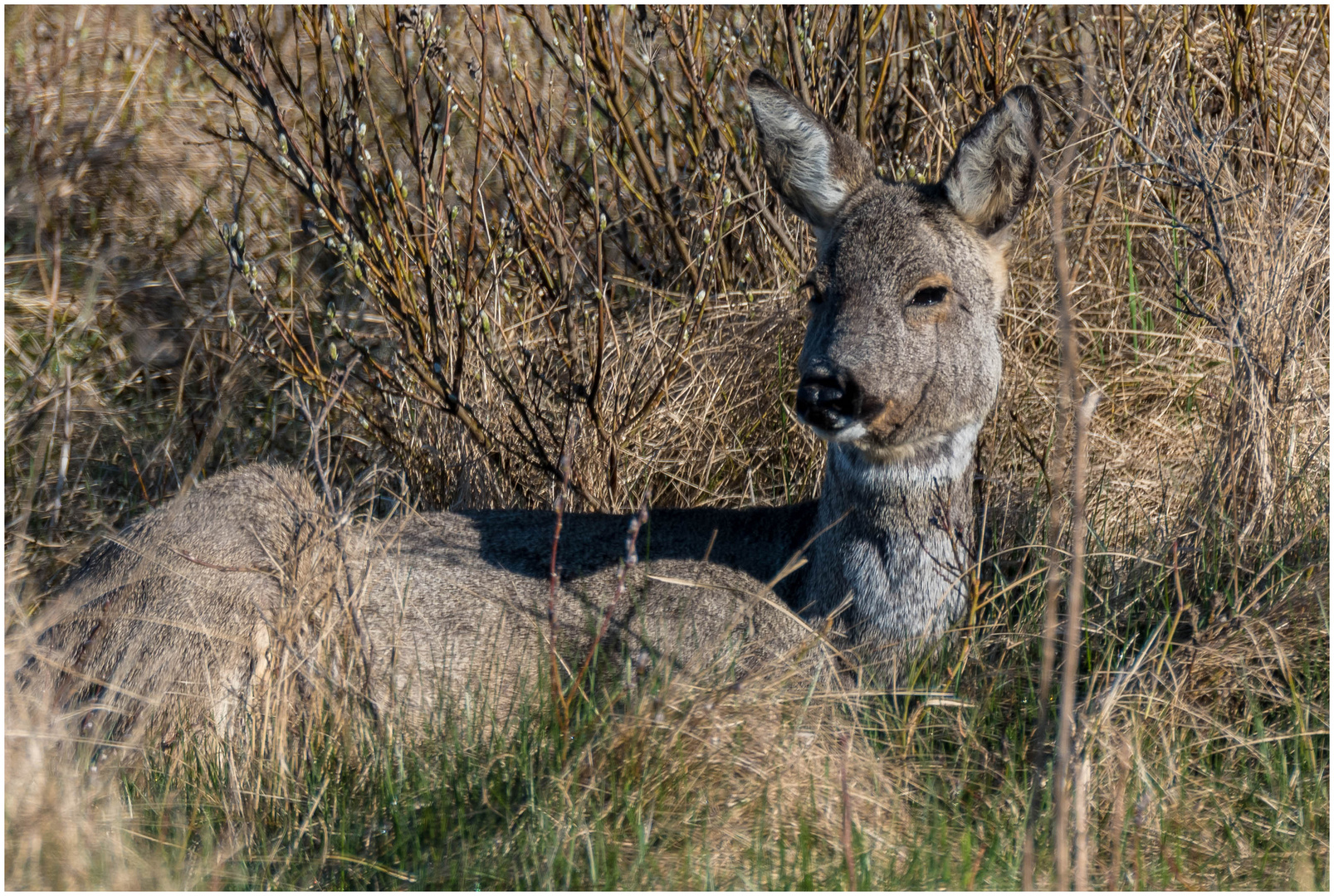 unsere Besucher