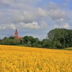Unsere Dorfkirche im Frühling...