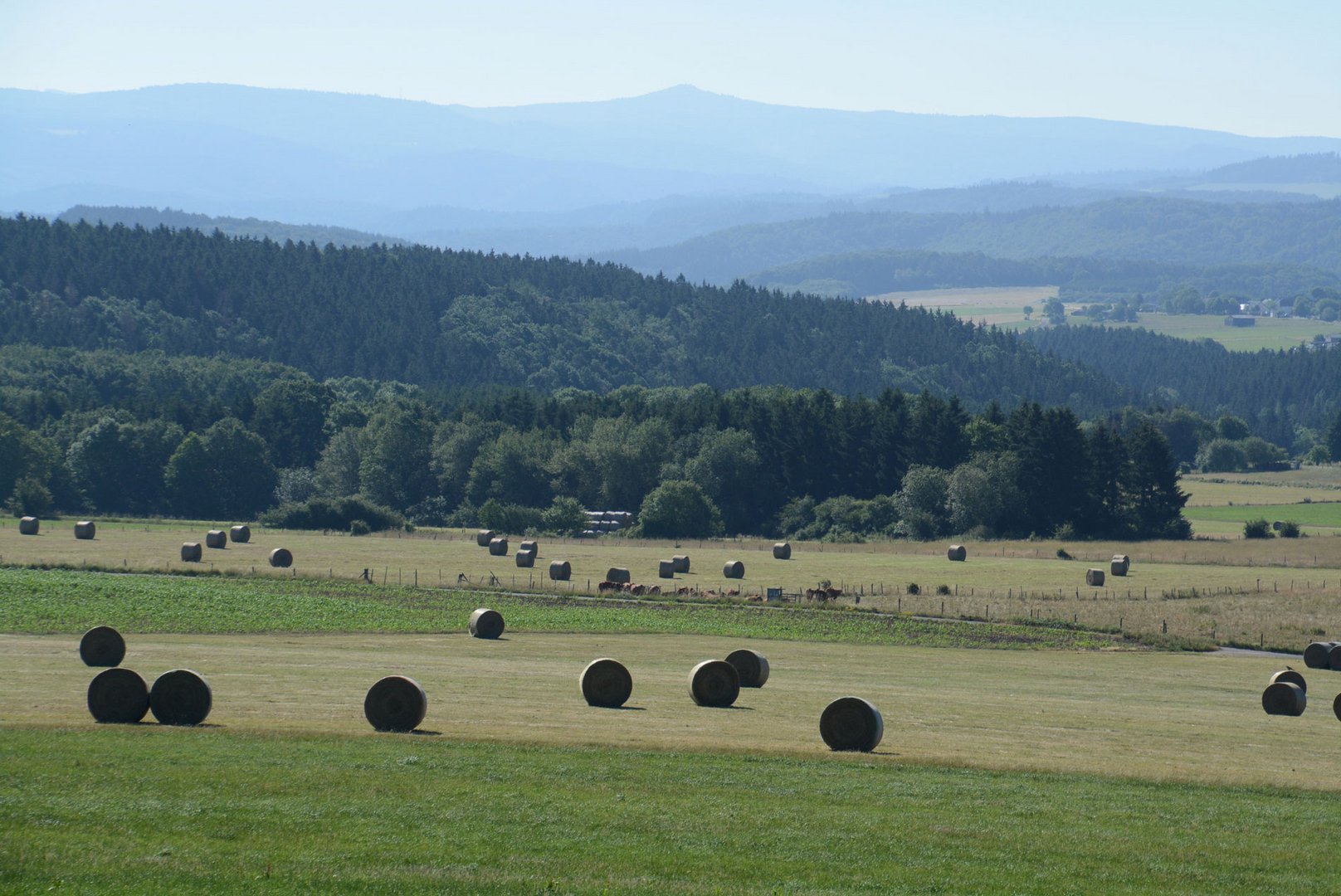 Unsere Eifel voll Rollen