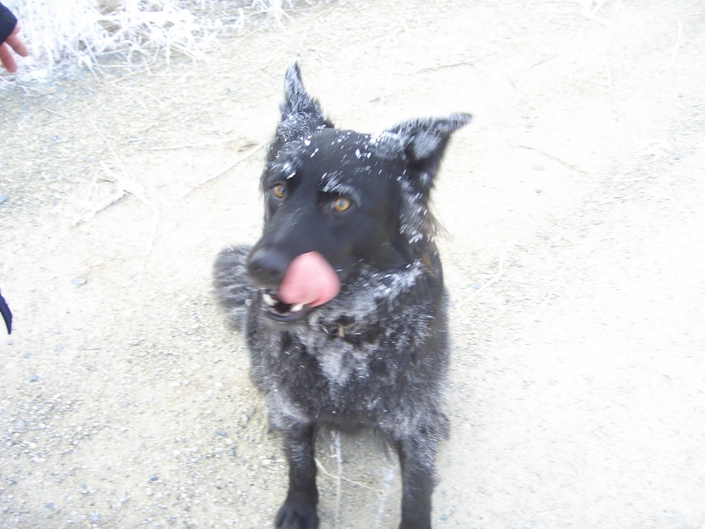 unsere eisbärin tina