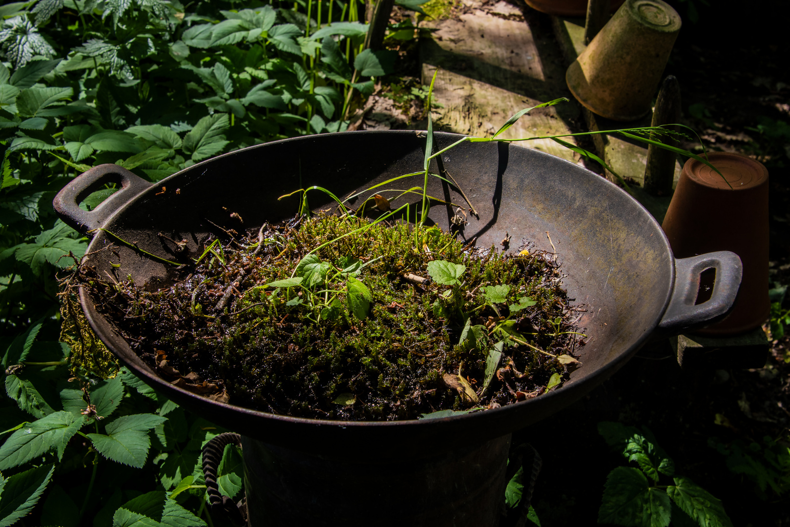 Unsere Empfehlung heute: Gourmetpfanne Karin