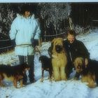 Unsere erste Hundefamilie (Foto von 2006 gescannt) 