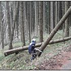 Unsere Feuerwehr im Sturmeinsatz