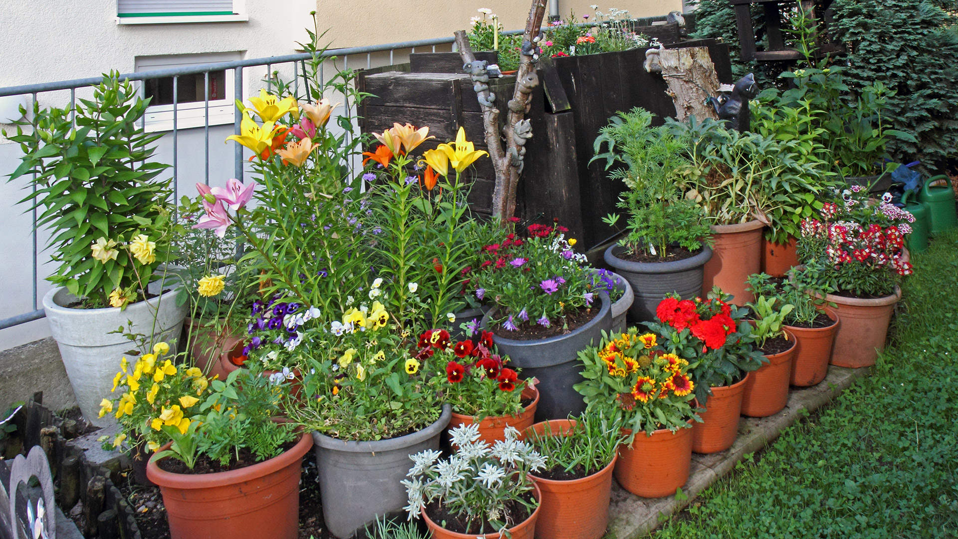 Unsere Gartengestaltung im großen Hof  mit 6 Wohnungen und einer großen Wiese und Parkplätzen