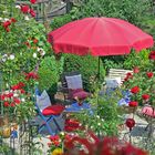 Unsere Gartenterrasse wartete auf Gäste