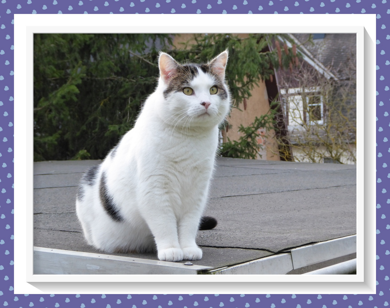 Unsere gemeinsame Zeit war leider viel zu kurz - dafür aber sehr innig und intensiv. 