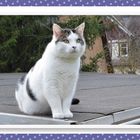 Unsere gemeinsame Zeit war leider viel zu kurz - dafür aber sehr innig und intensiv. 