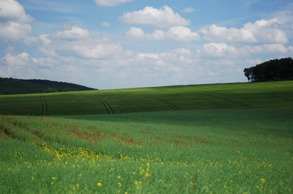 unsere Heimat kann so schön sein...