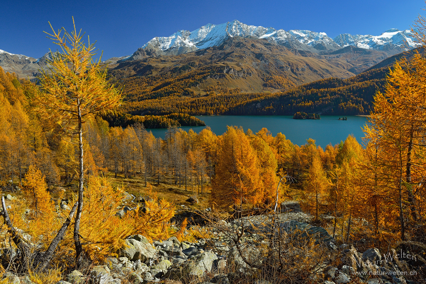 Unsere Herbstferien