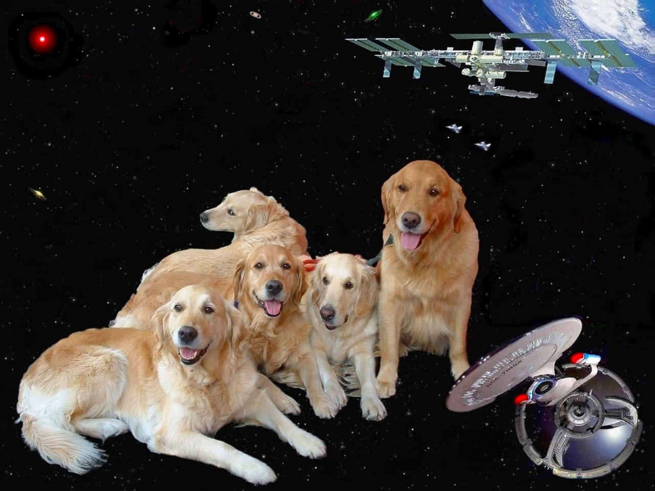 Unsere Hundefamilie in > SciFi SpaceArt < :-)