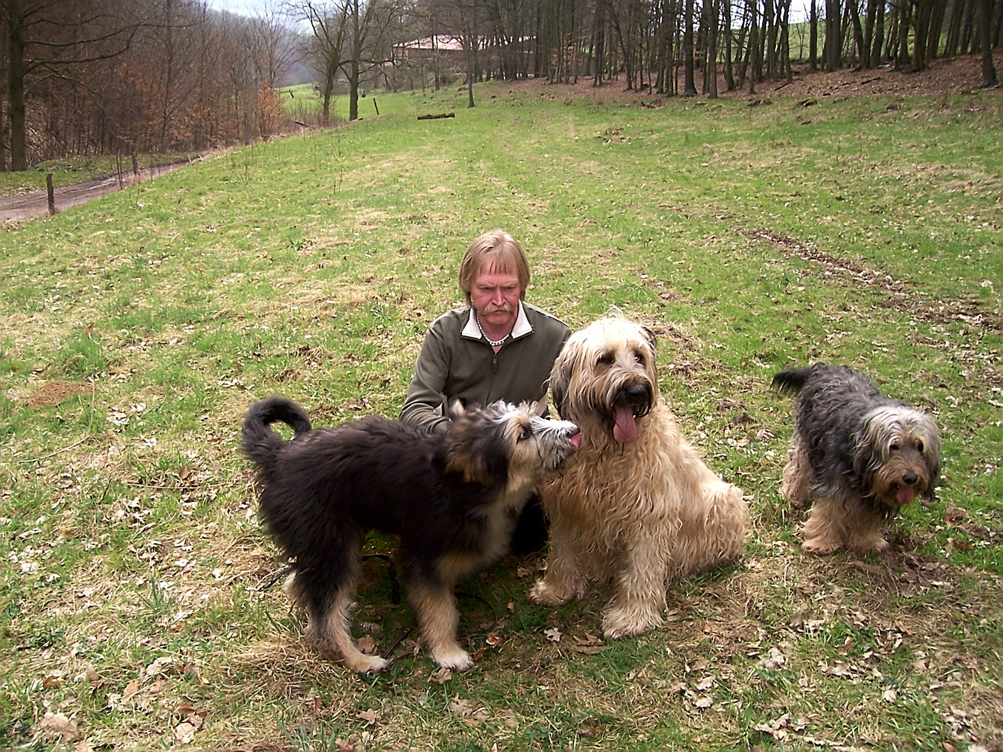 Unsere Hundefamilie vor 15 Jahren