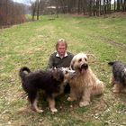 Unsere Hundefamilie vor 15 Jahren