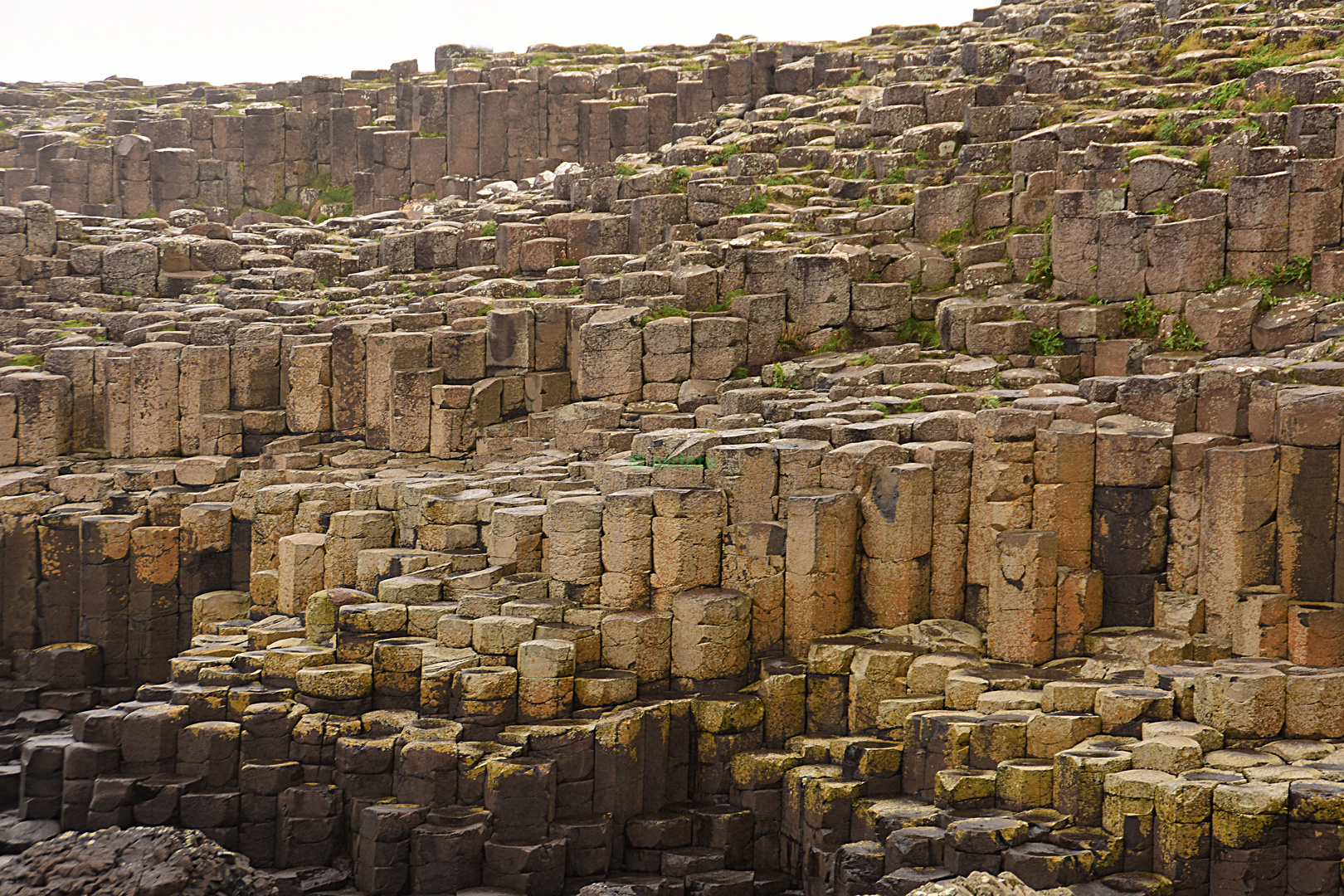 Unsere Irland-Rundreise: Giants Causeway - einmalig