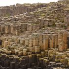 Unsere Irland-Rundreise: Giants Causeway - einmalig