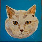 UNSERE Katze " Laila" Gemälde 
