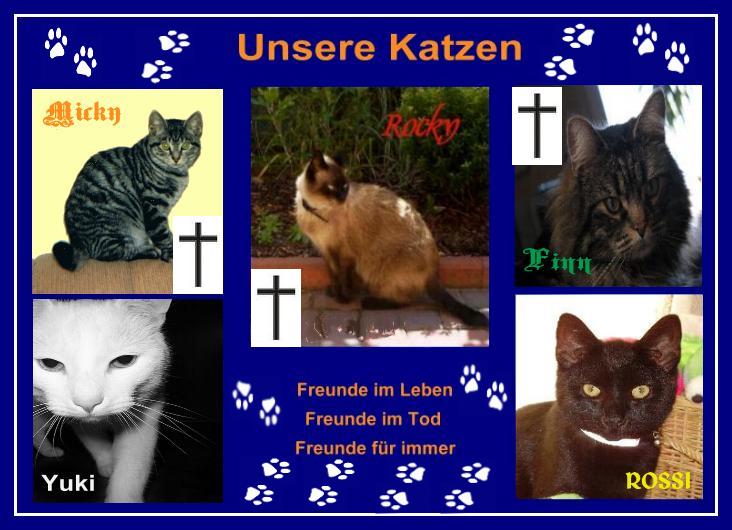 Unsere Katzenfreunde