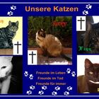 Unsere Katzenfreunde