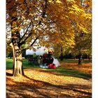 unsere kleine Bahn im Schlossgarten in Herbstfarben.........