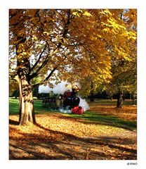 unsere kleine Bahn im Schlossgarten in Herbstfarben.........