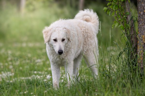 unsere kleine Eperke