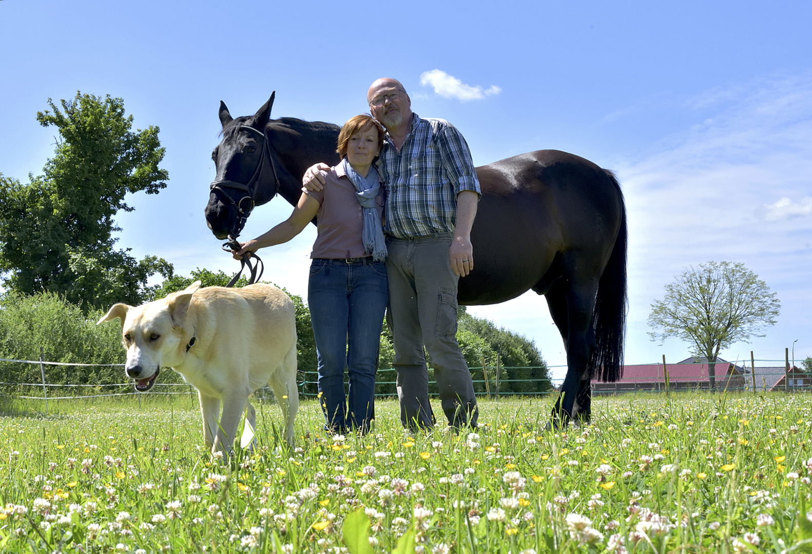 Unsere kleine Farm