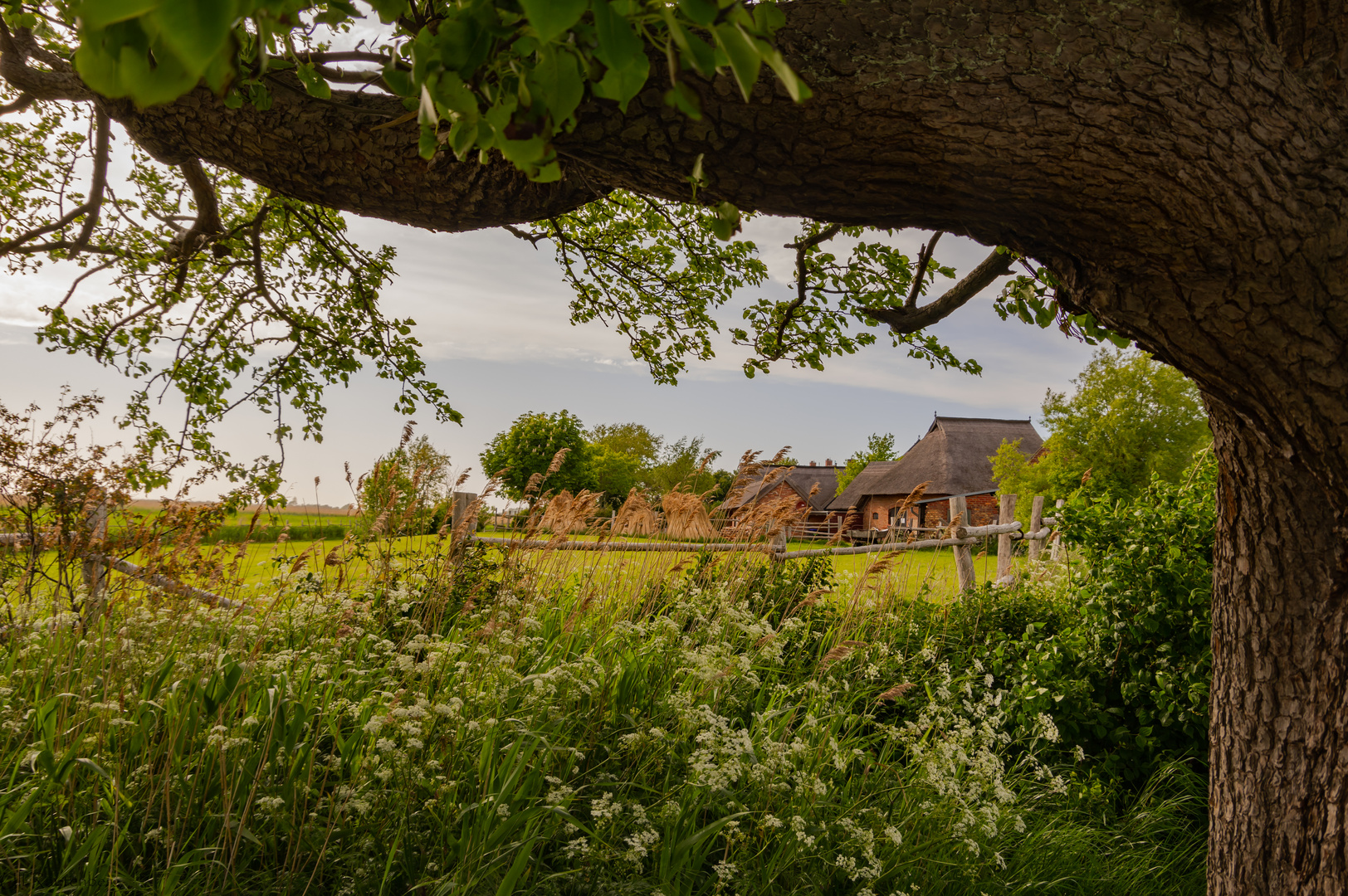 Unsere kleine Farm!