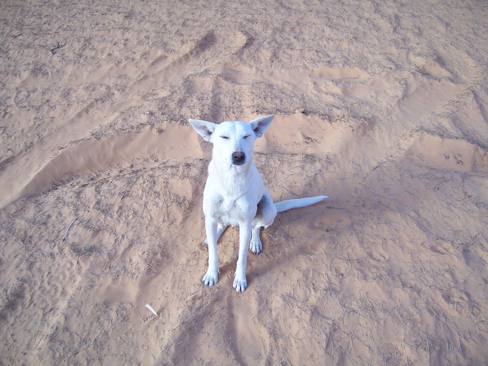 Unsere kleine Freundin