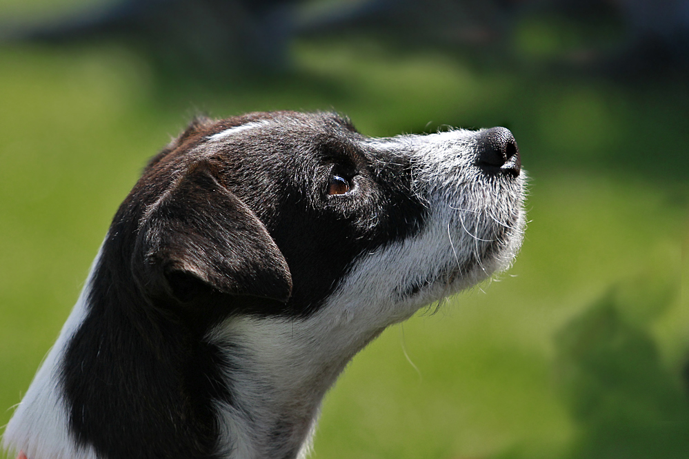 Unsere kleine Julie