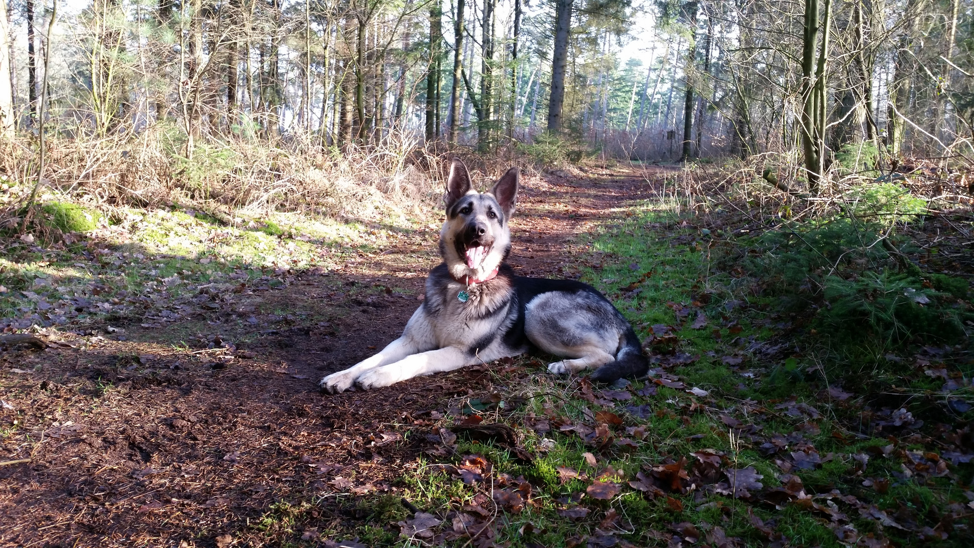 Unsere kleine Maus