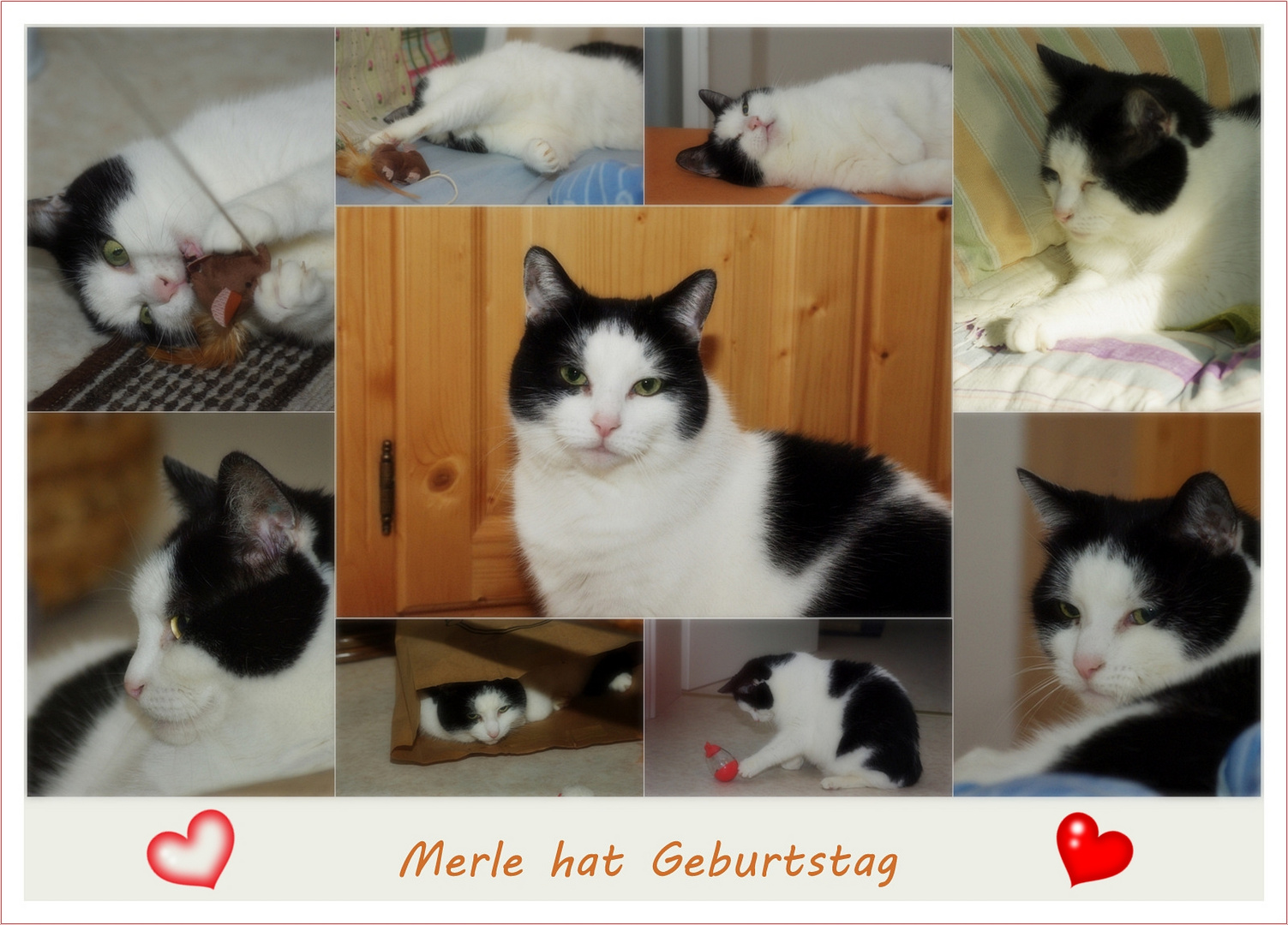 Unsere kleine Zaubermaus ...