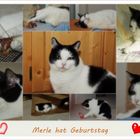 Unsere kleine Zaubermaus ...