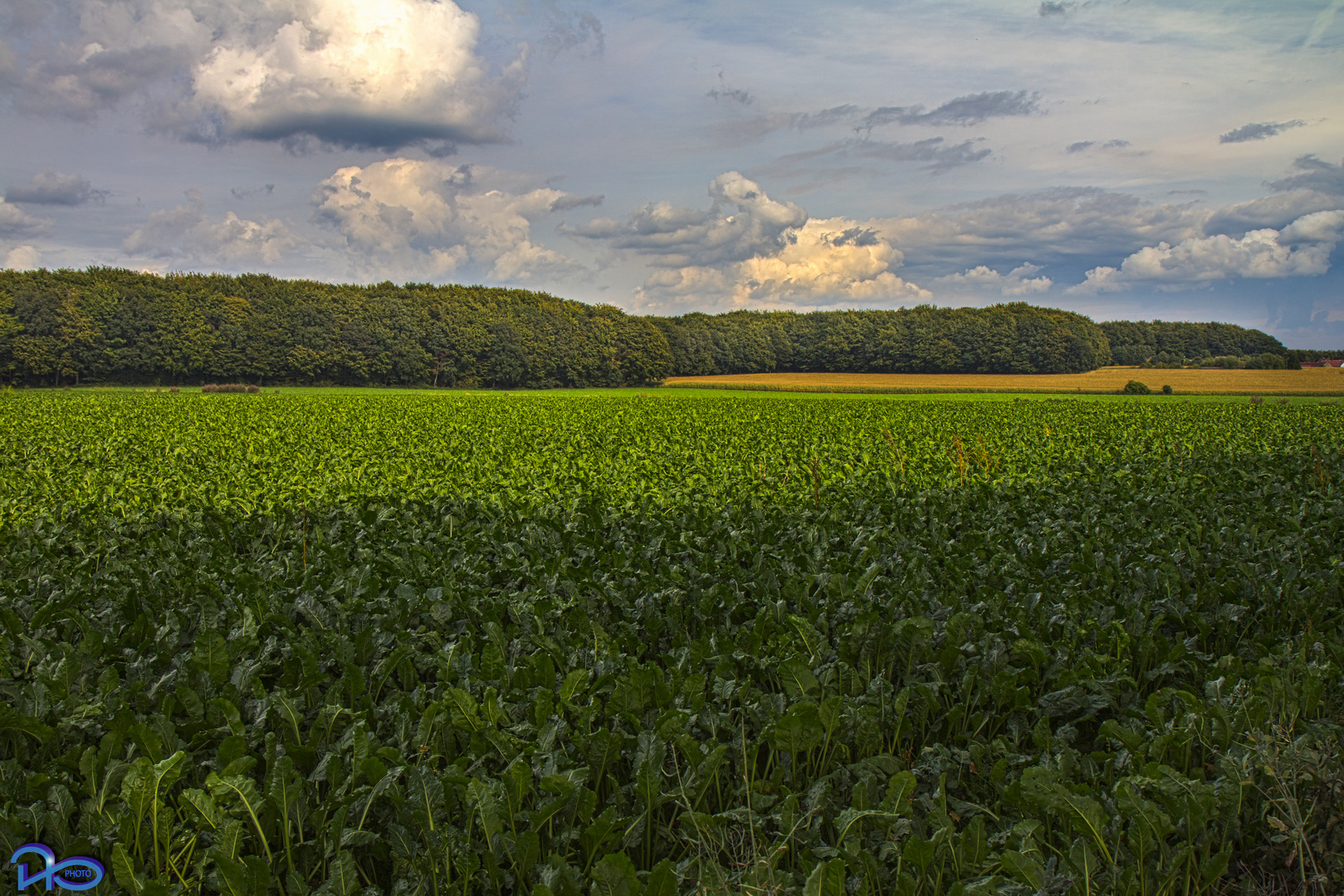 Unsere Landschaft...