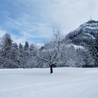 Unsere liebe Rigi!