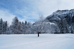 Unsere liebe Rigi!