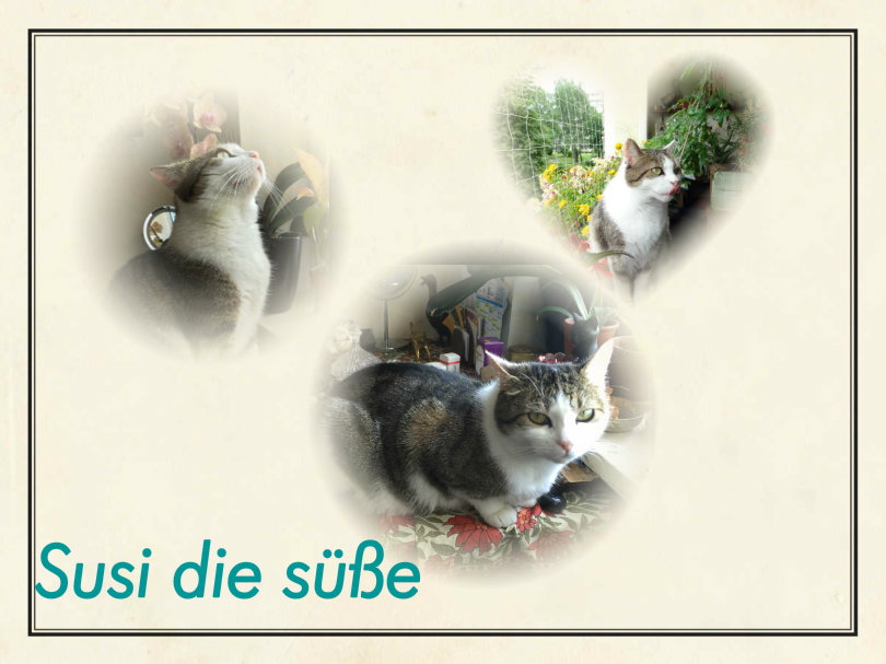 Unsere liebe Susimama